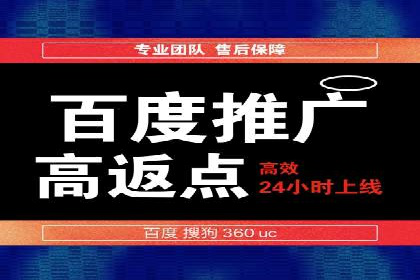 成功企业SEM竞价代运营案例研究